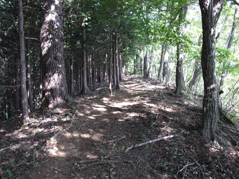 20151014hike (201)